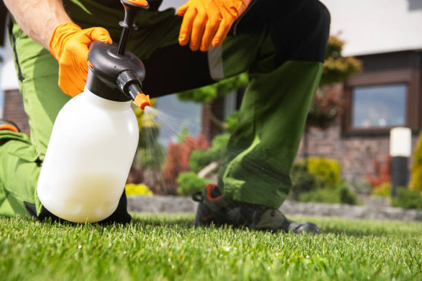 Best Pest Prevention Services  in West Monroe, LA