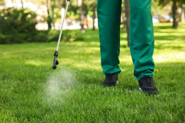 Best Pest Control for Homes  in West Monroe, LA