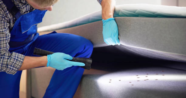 Best Affordable Pest Control Services  in West Monroe, LA
