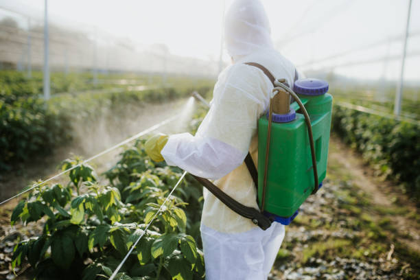 Best Emergency Pest Control  in West Monroe, LA